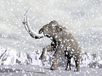 Mammoth walking through a blizzard on mountain Fine Art Print
