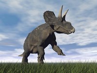 Nedoceratops dinosaur grazing in grassy field Fine Art Print