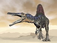 Spinosaurus dinosaur roaring in the desert Fine Art Print
