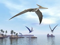 Three pteranodons flying over landscape with hills, palm trees and water Fine Art Print