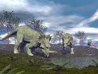 Three Styracosaurus dinosaurs drinking from a nearby lake Fine Art Print