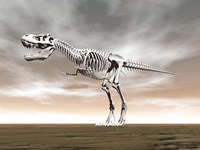 Tyrannosaurus rex skeleton Fine Art Print