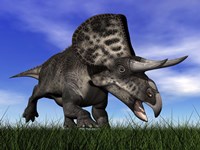 Zuniceratops dinosaur running in the grass Fine Art Print