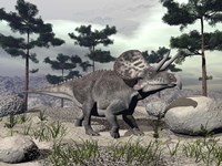 Zuniceratops dinosaur walking on a hill with large rocks and pine trees Fine Art Print
