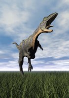 Aucasaurus dinosaur running on the green grass with mouth open Fine Art Print