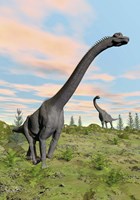 Two brachiosaurus dinosaurs in a prehistoric environment Fine Art Print