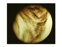 Venus - tan Fine Art Print