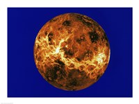 Venus Fine Art Print