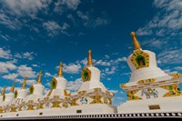 India, Jammu and Kashmir, Ladakh, Leh, chortens at Thiksey Monastery Fine Art Print