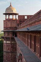 Two pigeons sit on the roof's ledge, Agra fort, India Fine Art Print