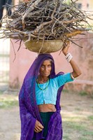Woman Carrying Firewood on Head in Jungle of Ranthambore National Park, Rajasthan, India Fine Art Print