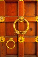 Ornate door at the City Palace, Udaipur, Rajasthan, India Fine Art Print