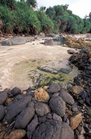 Beach Landscape, Java, Indonesia Fine Art Print