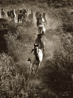 Poetry in Motion Fine Art Print