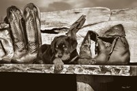 Big Foot Fine Art Print