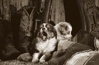 My Hero Fine Art Print