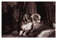 My Hero Fine Art Print