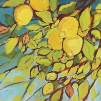 The Lemons Above Fine Art Print