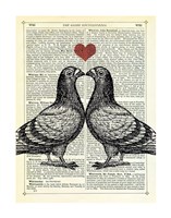 Pigeons in Love Framed Print