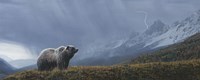Stormwatch - Grizzly (detail) by Terry Isaac - 40" x 16"