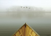 Alone in the Mist 3 Fine Art Print