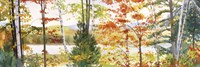 Autumn Lake III Fine Art Print