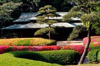 Azaleas at the Imperial Palace East Gardens, Tokyo, Japan Fine Art Print