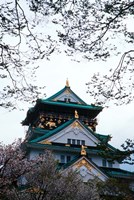Osaka Castle and Cherry Blossom Trees, Osaka, Japan Fine Art Print