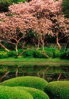 Reflecting Pond, Imperial Palace East Gardens, Tokyo, Japan Fine Art Print