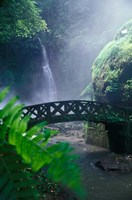 Air Teriun Kali Waterfall , North Sulawesi, Indonesia Fine Art Print