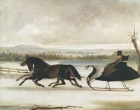 Smart Turn Out Fine Art Print