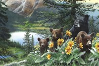 Basking in the Balsams by Kevin Daniel - 36" x 24"