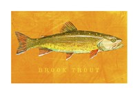 Brook Trout Framed Print