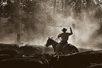 Lost Canyon Roundup Fine Art Print