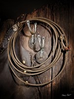 Rowels n Ropes Fine Art Print