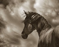 The Renegade Fine Art Print