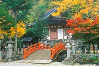 Ryuzenji Temple, Nara, Japan Fine Art Print