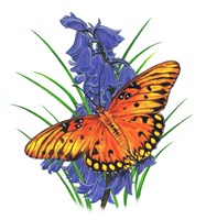 Brilliant Eye Jewel Butterfly-II Fine Art Print