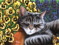 Afternoon Nap Horizontal by Marilyn Barkhouse - various sizes