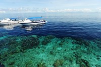 Diving Boat, Sipadan, Semporna Archipelago, Borneo, Malaysia Fine Art Print