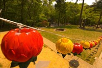 Lanterns, Haeinsa Temple Complex, Gayasan National Park, South Korea Fine Art Print