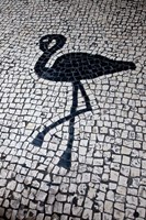 China, Macau Portuguese tile designs - flamingo, Senate Square Fine Art Print