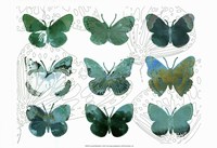 19" x 13" Butterfly Prints