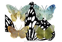 Layered Butterflies IV Fine Art Print