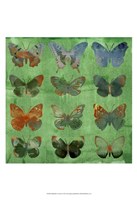 Butterflies on Green Framed Print
