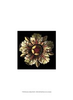 Rosette on Black III Fine Art Print
