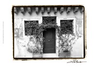 Venetian Doorways V Fine Art Print