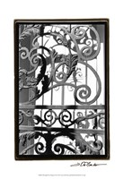 Wrought Iron Elegance II Fine Art Print