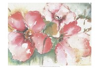 Soft Poppies II Fine Art Print