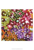 Floral Barrage II Fine Art Print